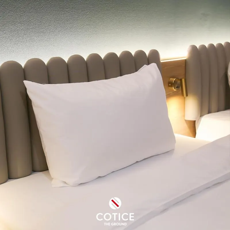 Cotice The Bridge Hotel Busan