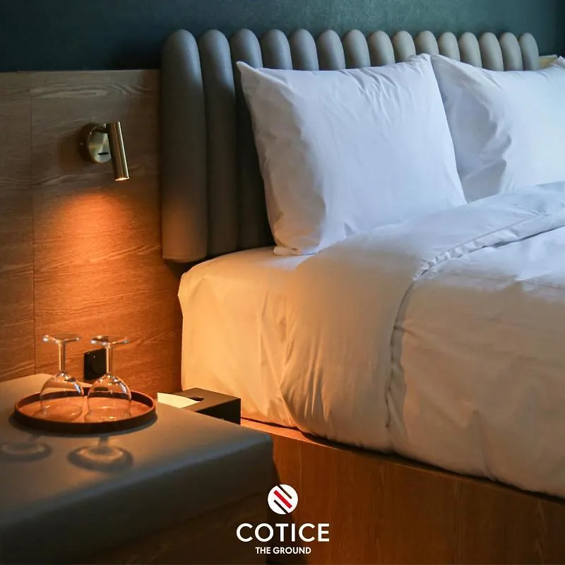 Cotice The Bridge Hotel Busan 3*,  South Korea